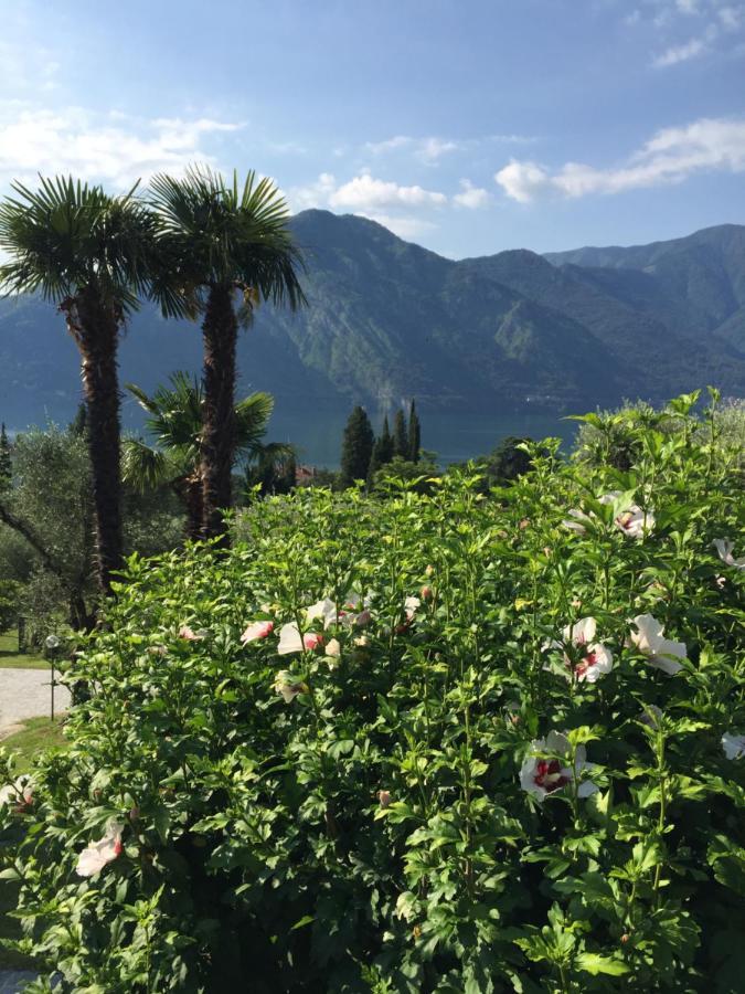 Residenza Margherita เตรเมสโซ ภายนอก รูปภาพ